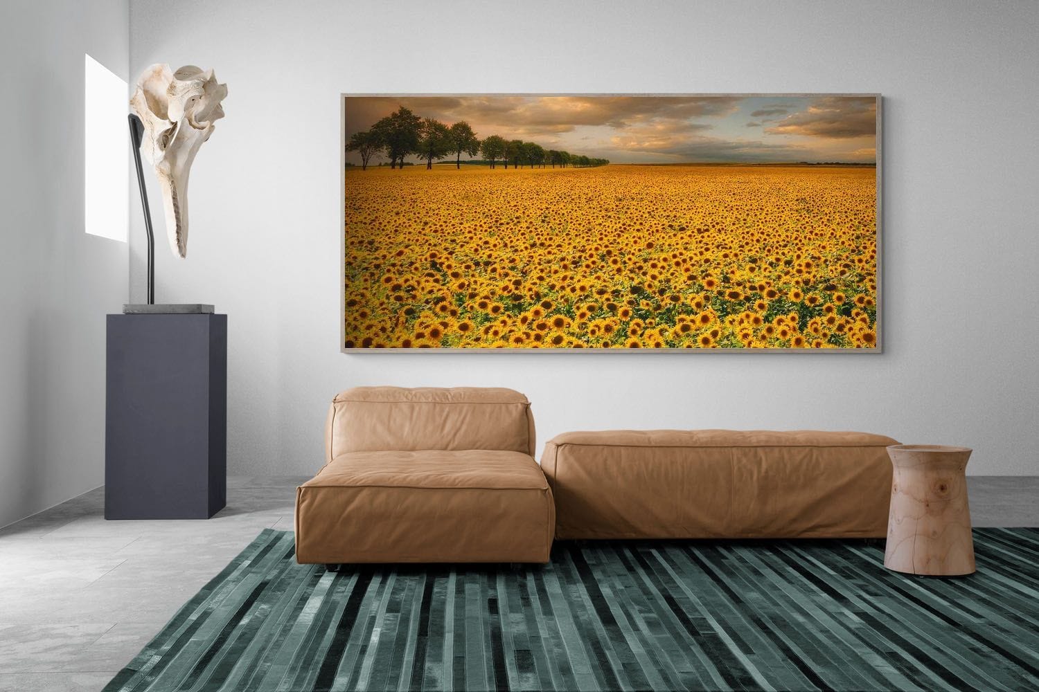 Pixalot Sunflower Field