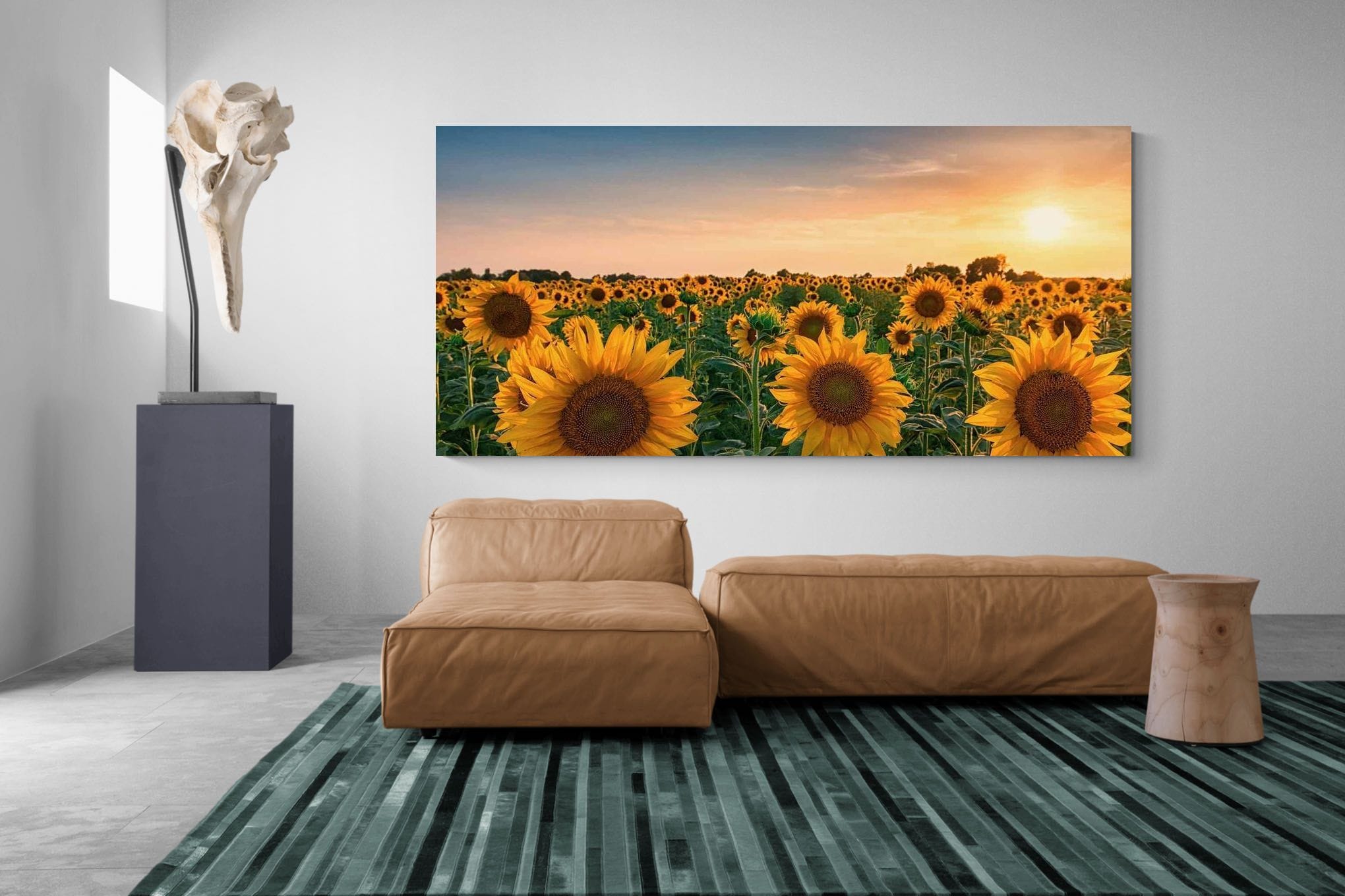 Pixalot Sunflowers