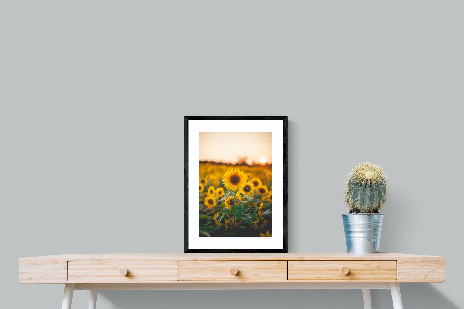 Pixalot Sunflowers at Sunset