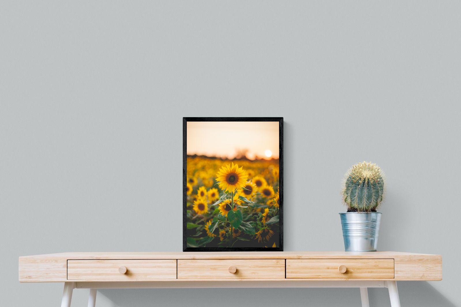 Pixalot Sunflowers at Sunset