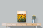 Pixalot Sunflowers at Sunset