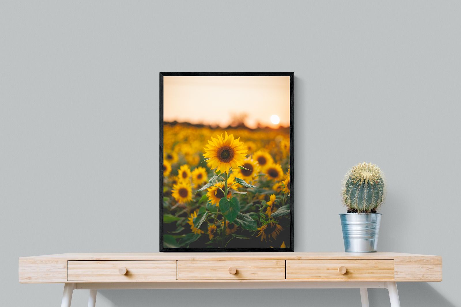 Pixalot Sunflowers at Sunset