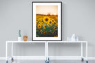 Pixalot Sunflowers at Sunset