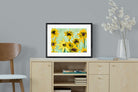 Pixalot Sunflowers by Jam