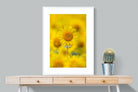 Sunniest Sunflower-Wall_Art-75 x 100cm-Framed Print-White-Pixalot