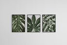 Tropical Leaves Set-Wall_Art-45 x 60cm (x3)-Mounted Canvas-Black-Pixalot