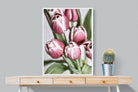 Pixalot Tulip Bunch