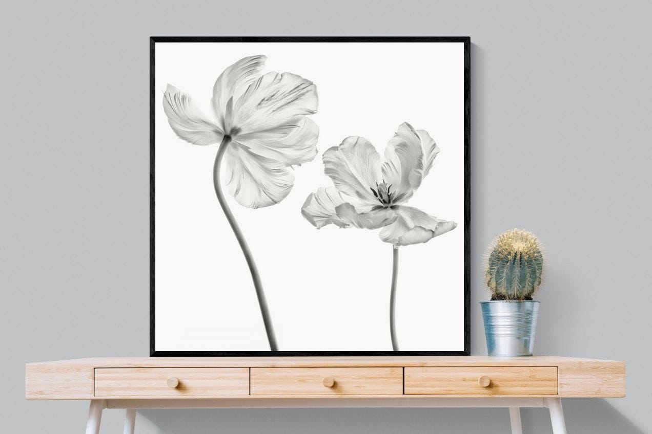 Tulip-Wall_Art-100 x 100cm-Mounted Canvas-Black-Pixalot