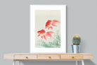 Pixalot Two Veil Goldfish