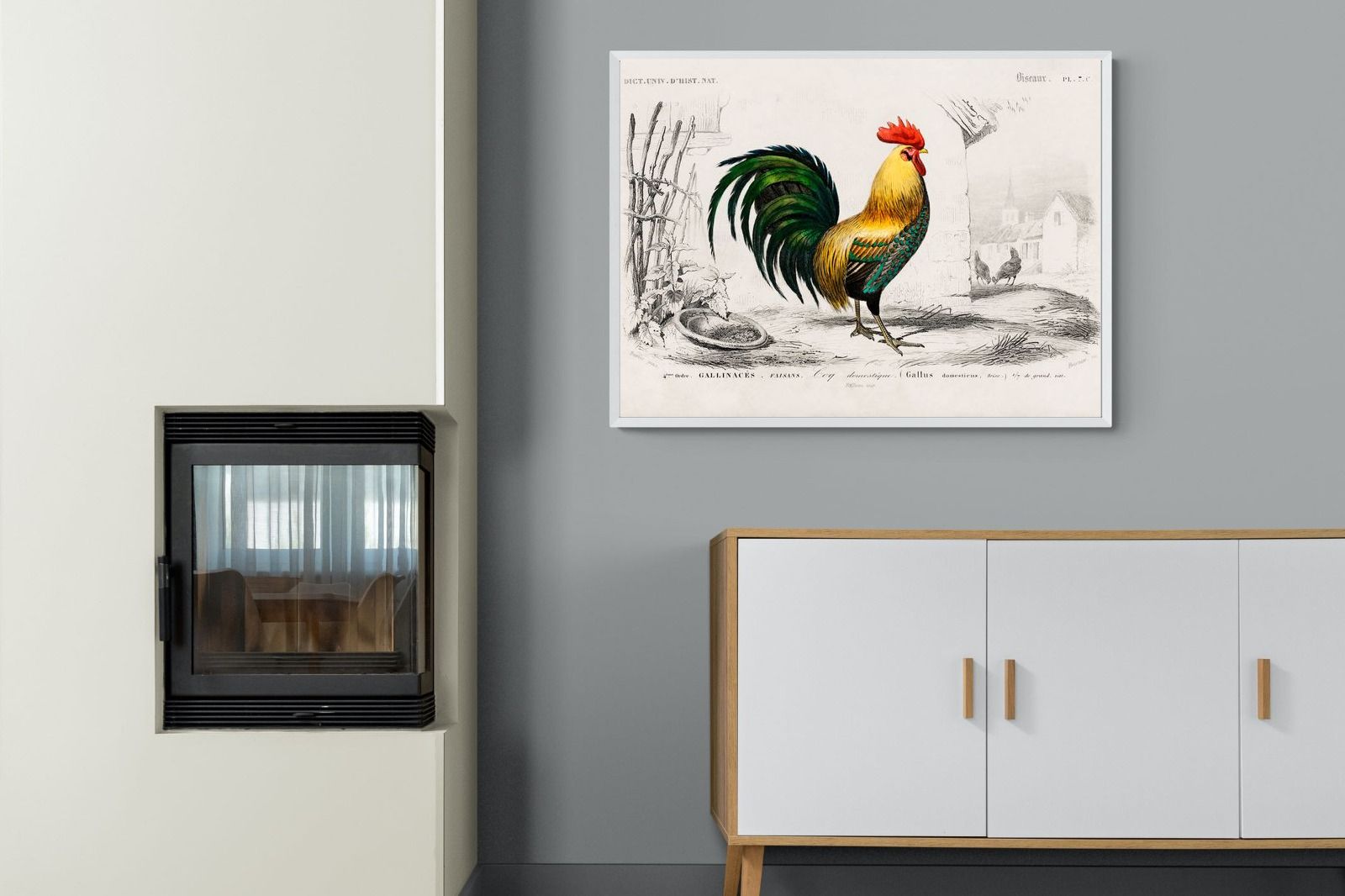 Pixalot Vintage Cockerel Illustration