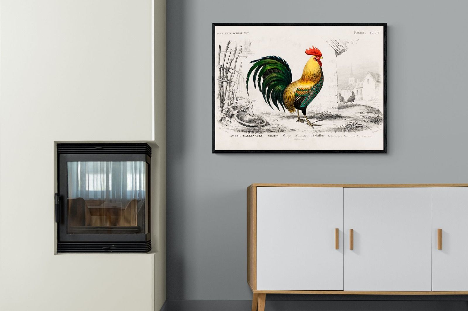 Pixalot Vintage Cockerel Illustration