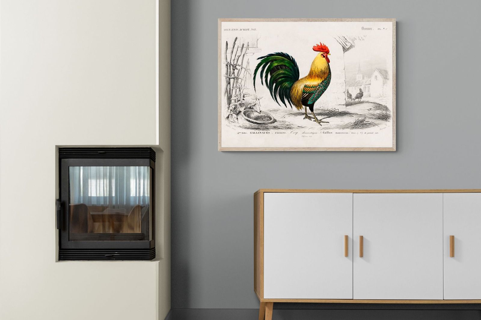 Pixalot Vintage Cockerel Illustration