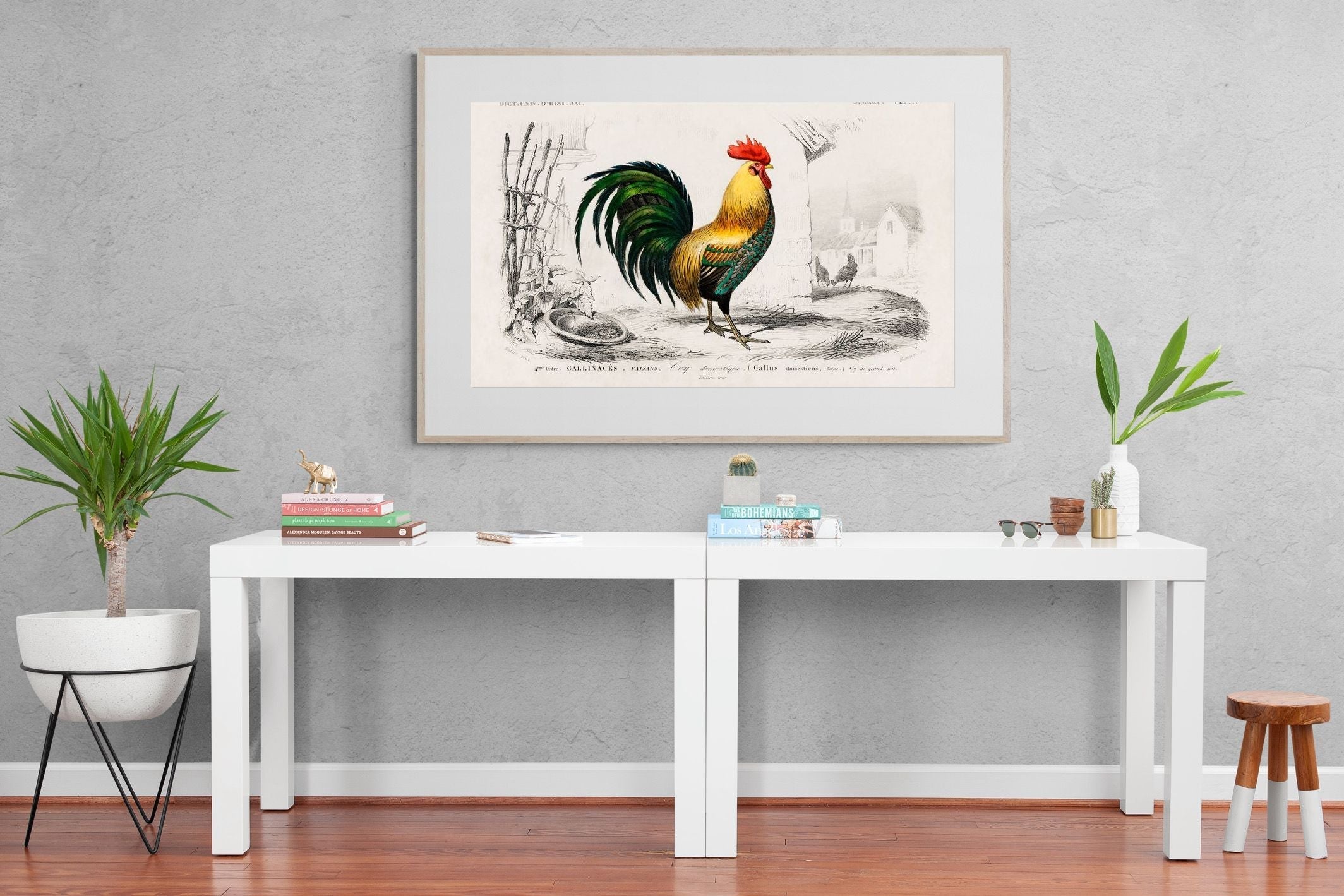 Pixalot Vintage Cockerel Illustration