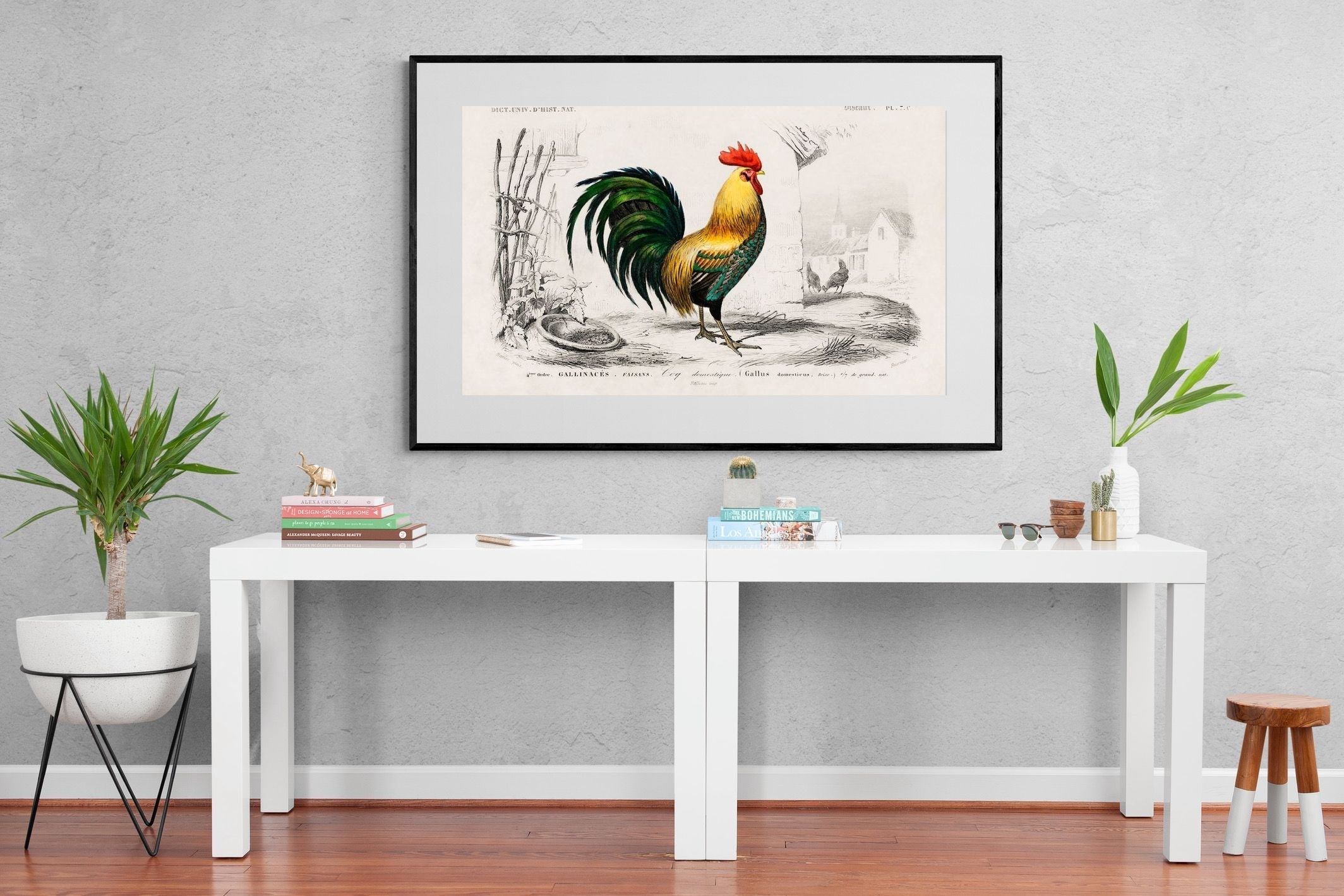 Pixalot Vintage Cockerel Illustration