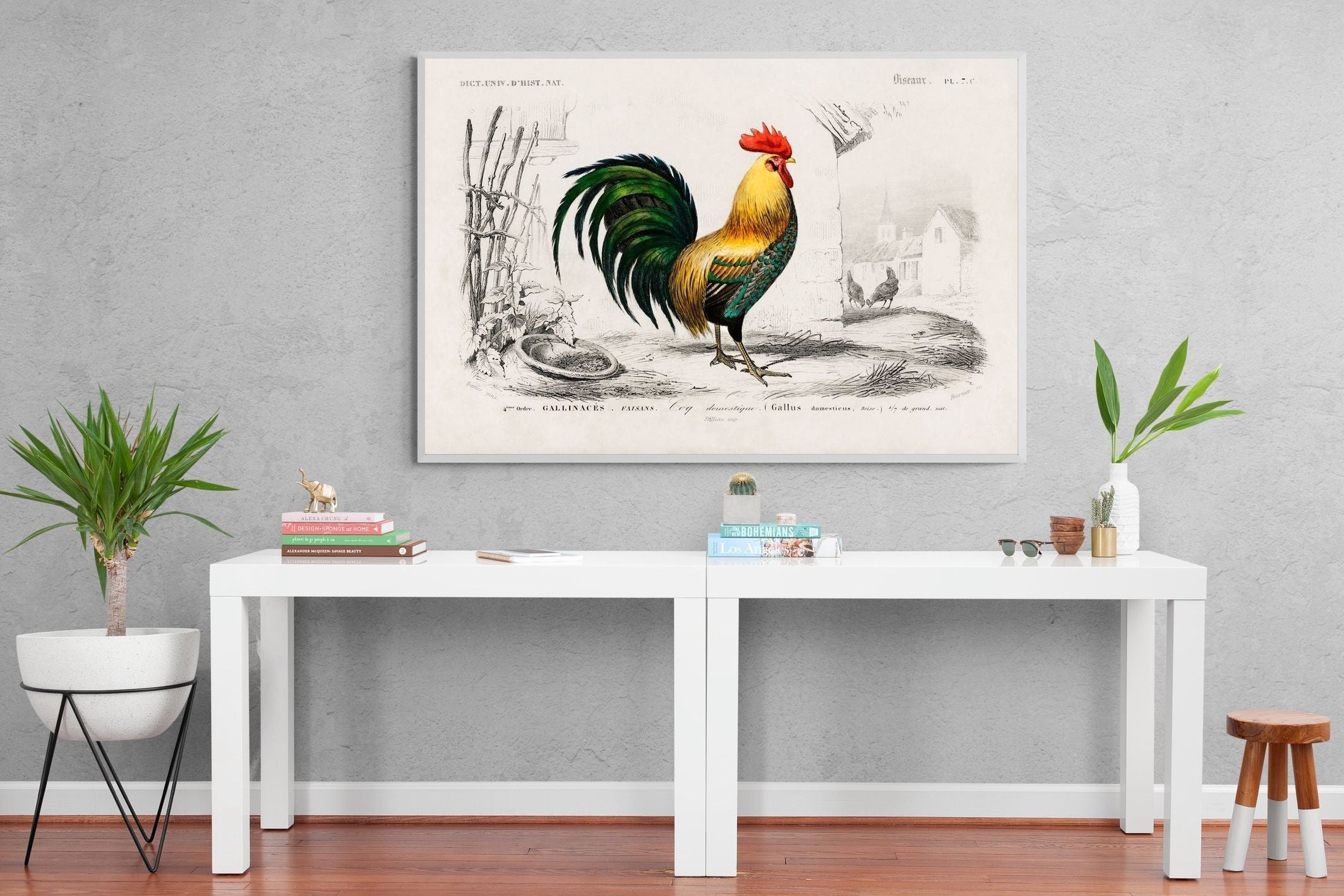 Pixalot Vintage Cockerel Illustration