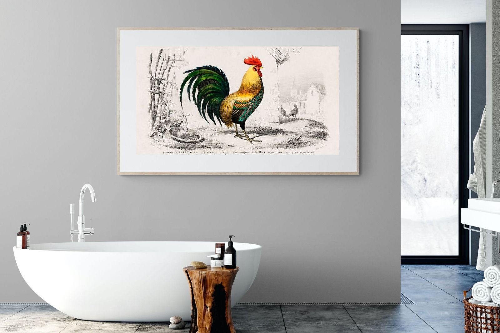 Pixalot Vintage Cockerel Illustration