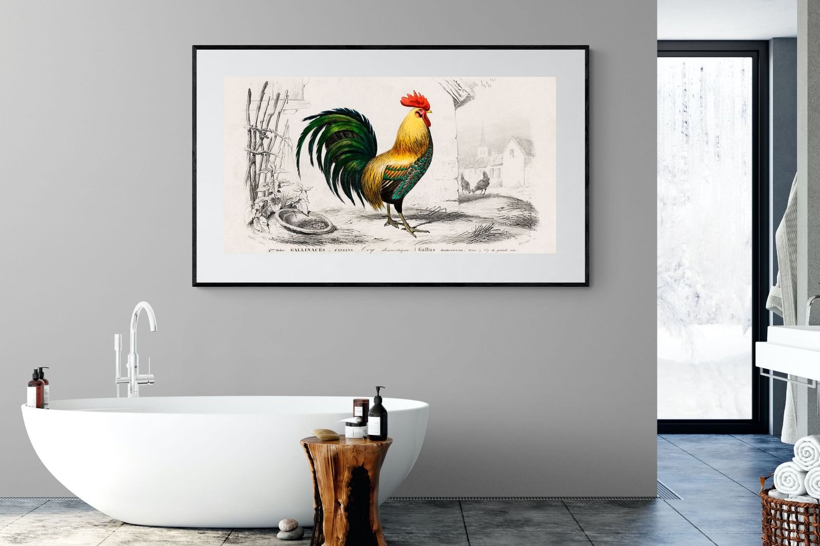 Pixalot Vintage Cockerel Illustration