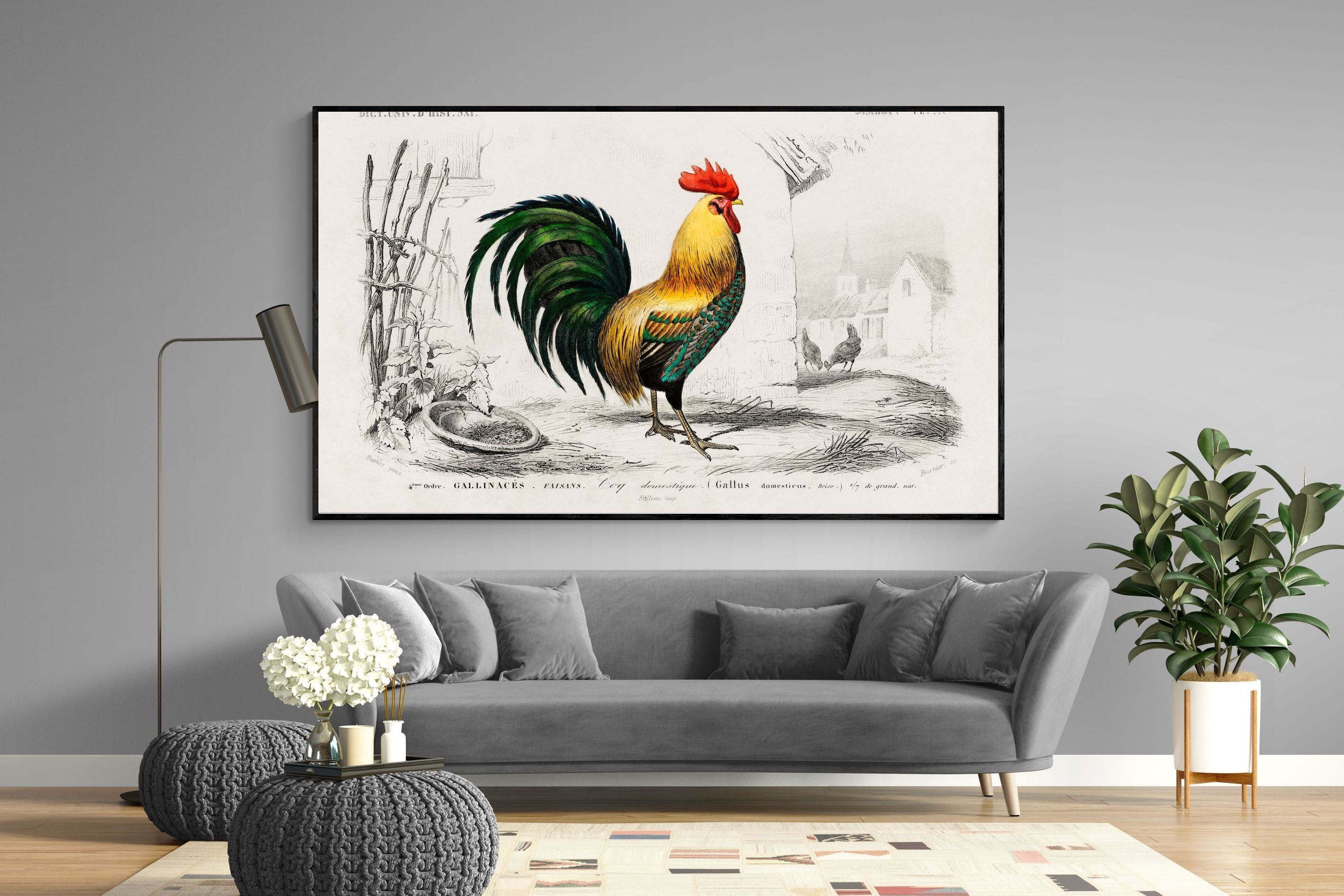 Pixalot Vintage Cockerel Illustration