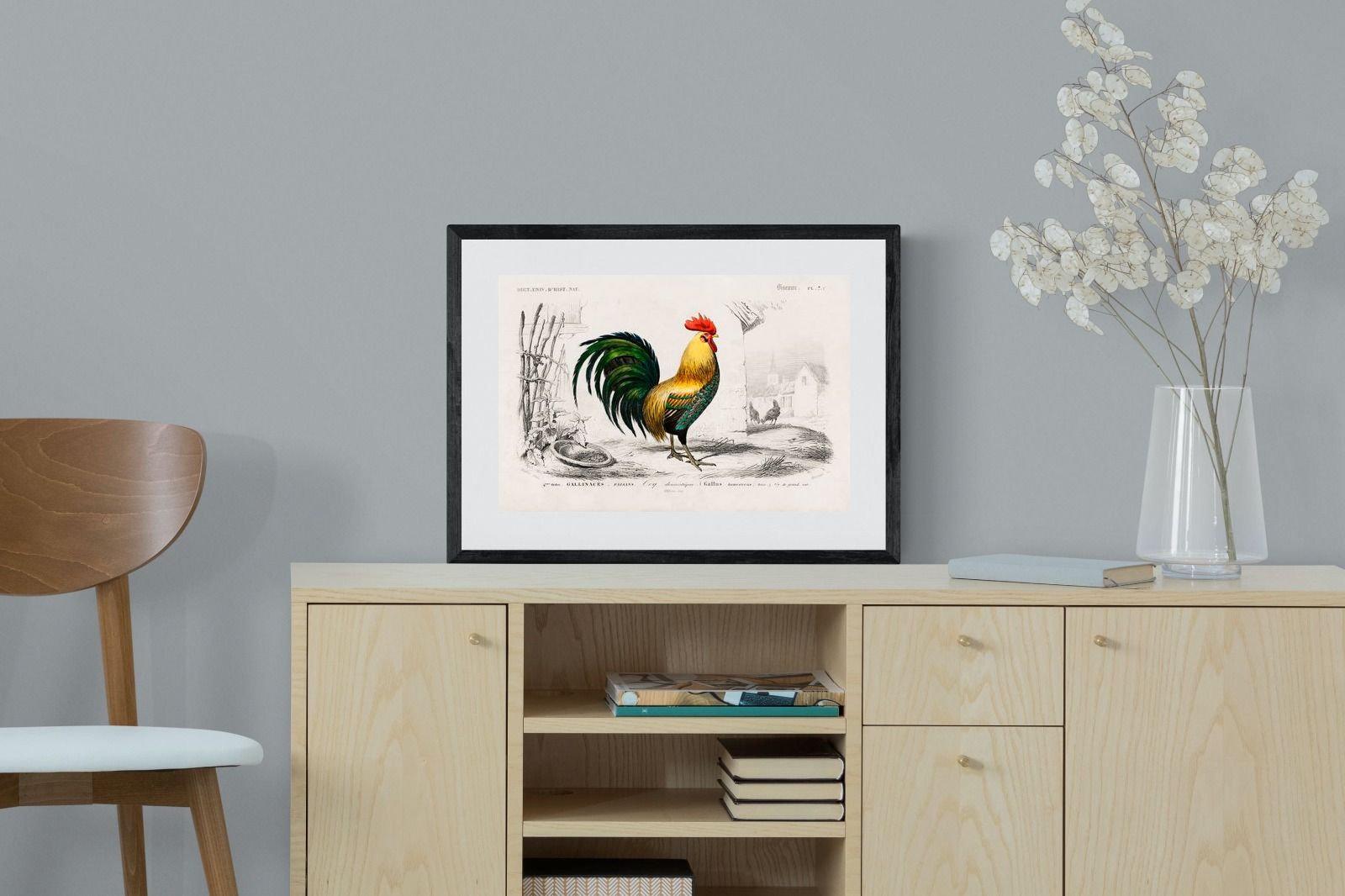 Pixalot Vintage Cockerel Illustration