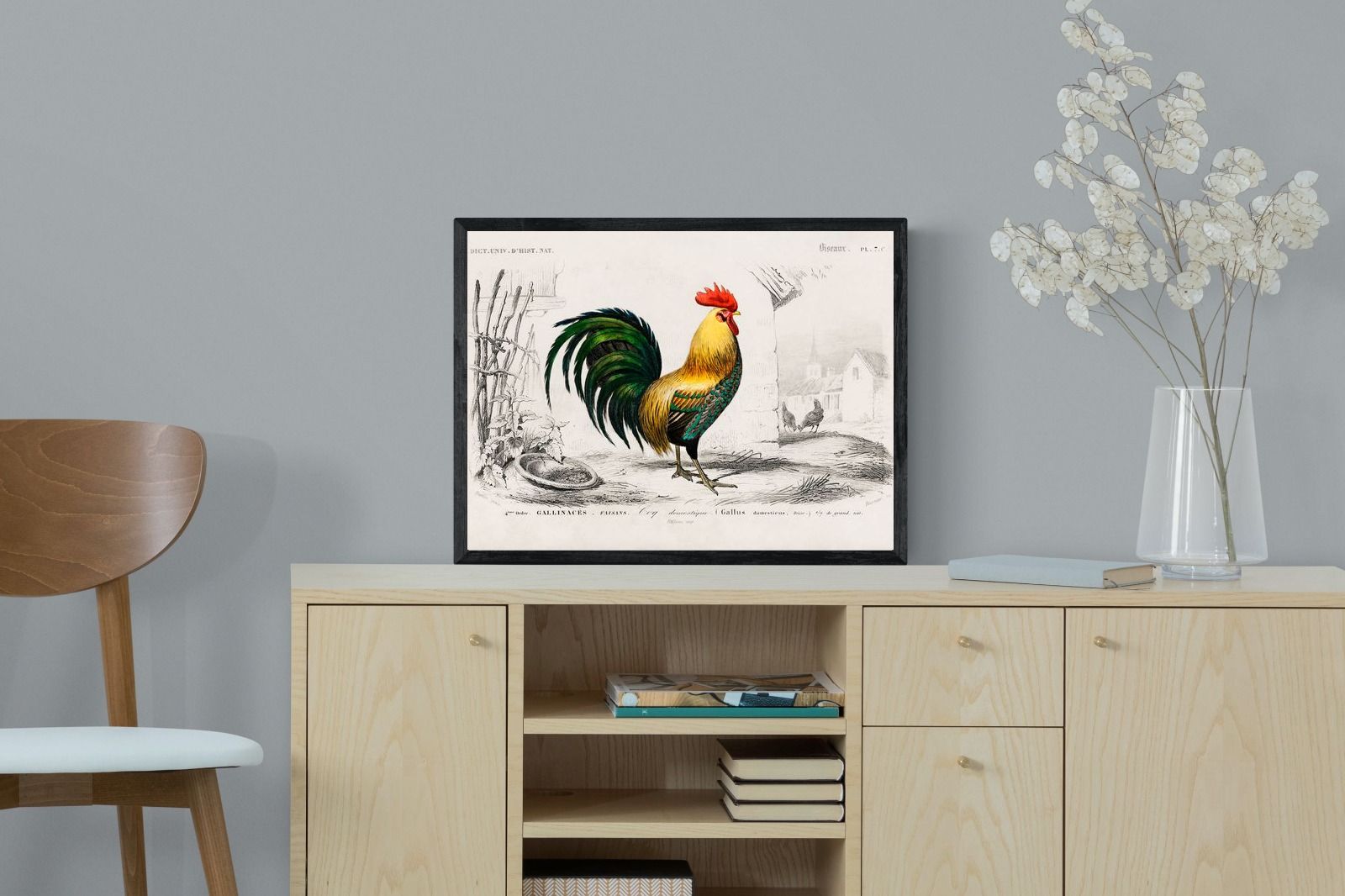 Pixalot Vintage Cockerel Illustration