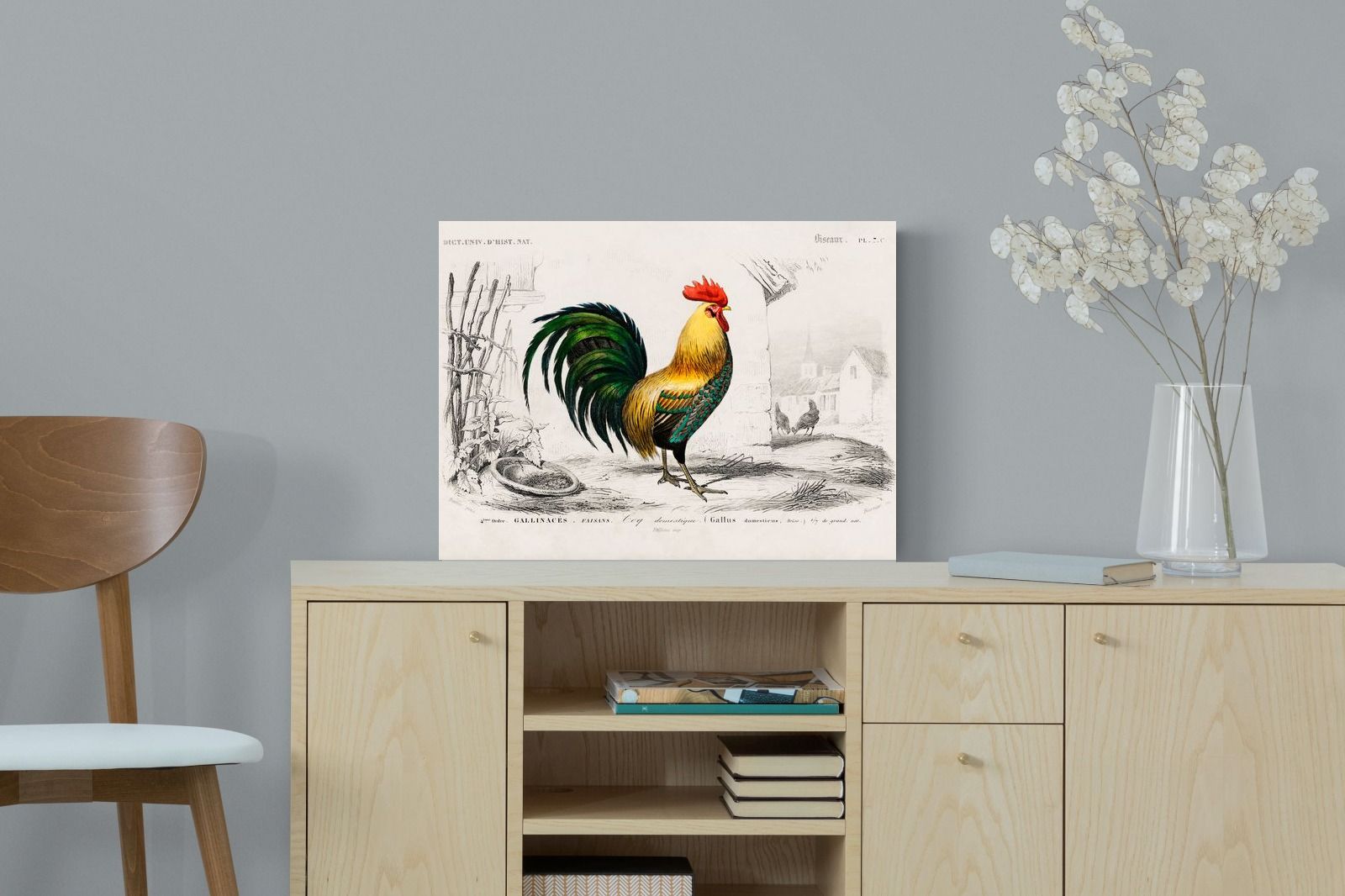 Pixalot Vintage Cockerel Illustration