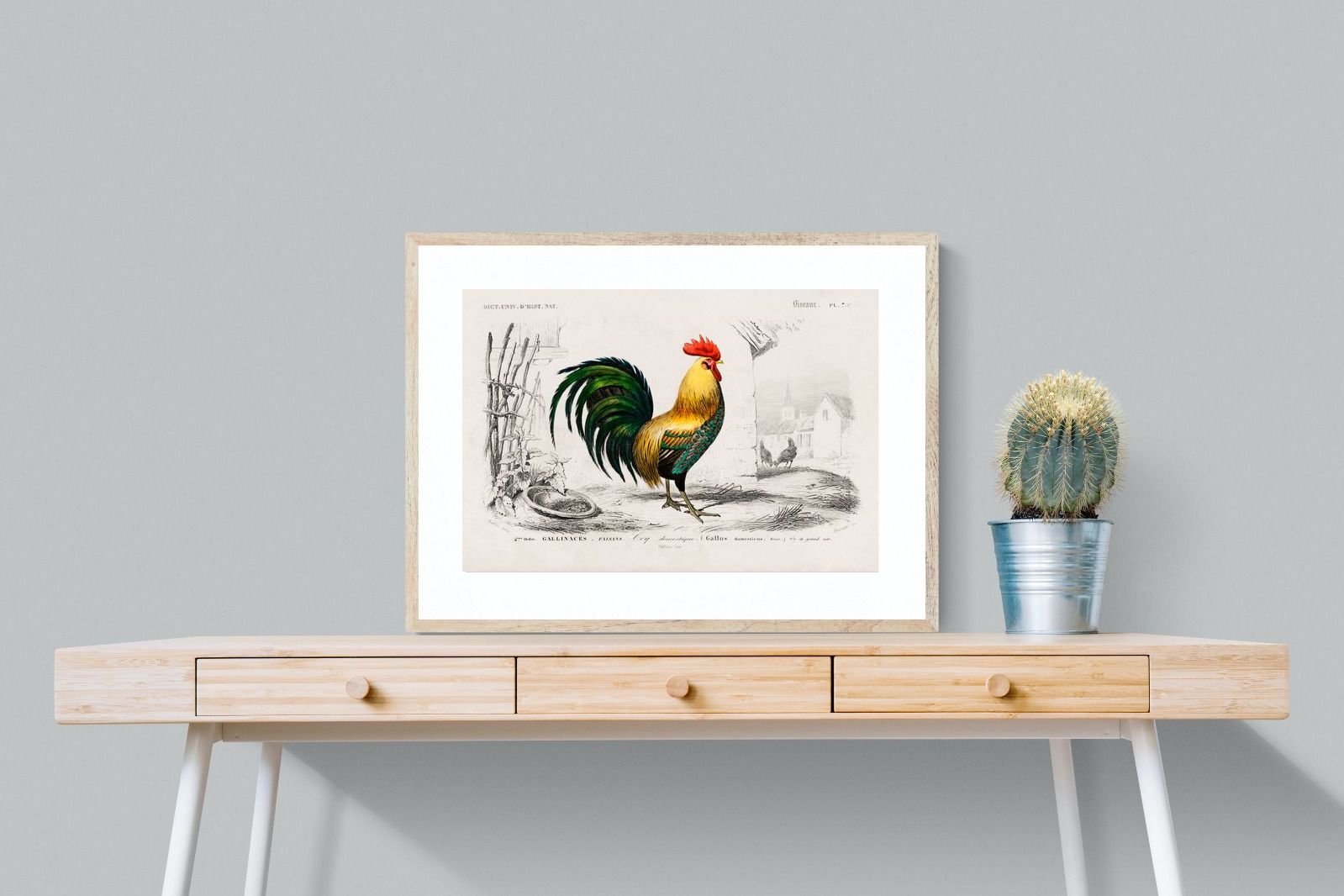 Pixalot Vintage Cockerel Illustration