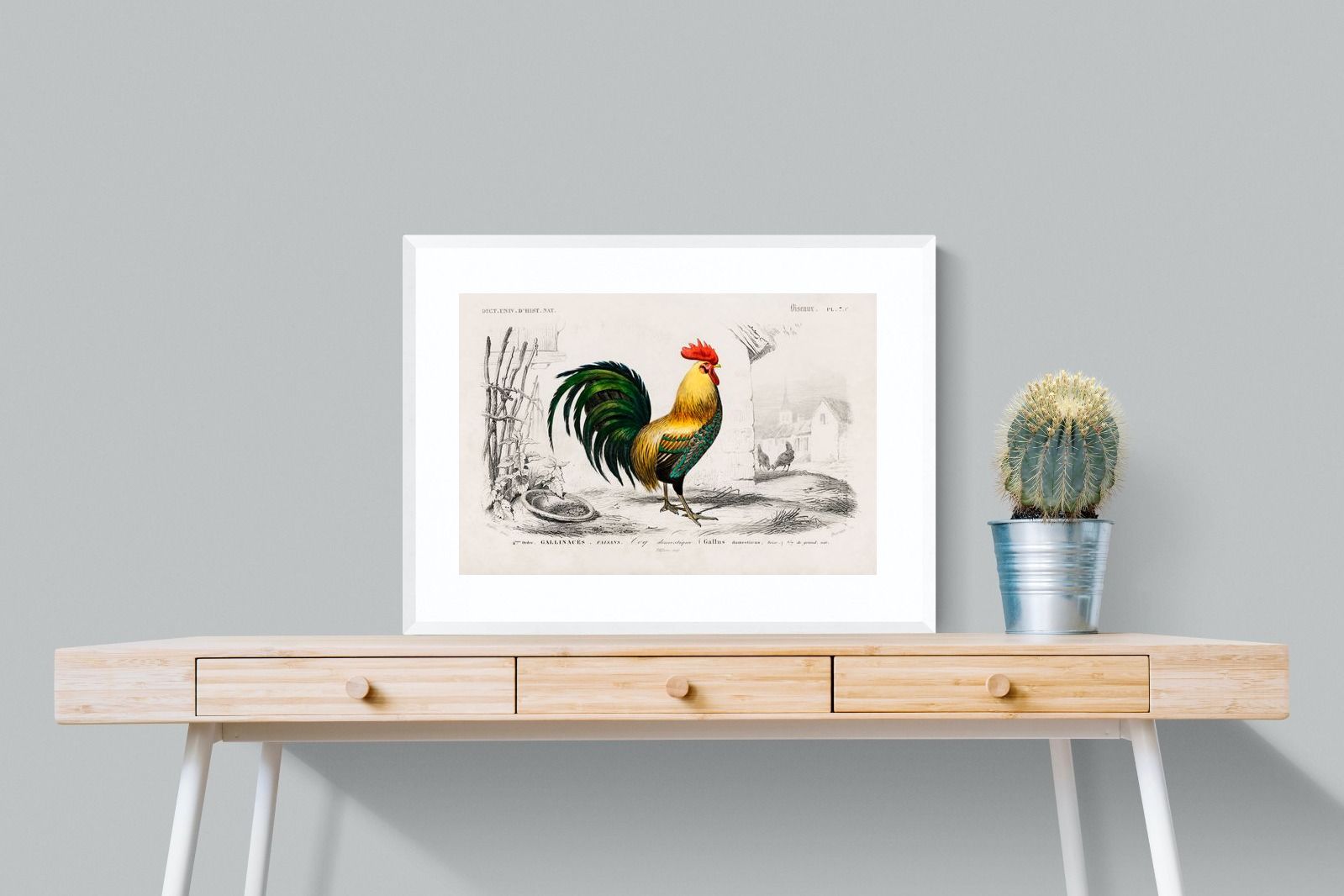 Pixalot Vintage Cockerel Illustration