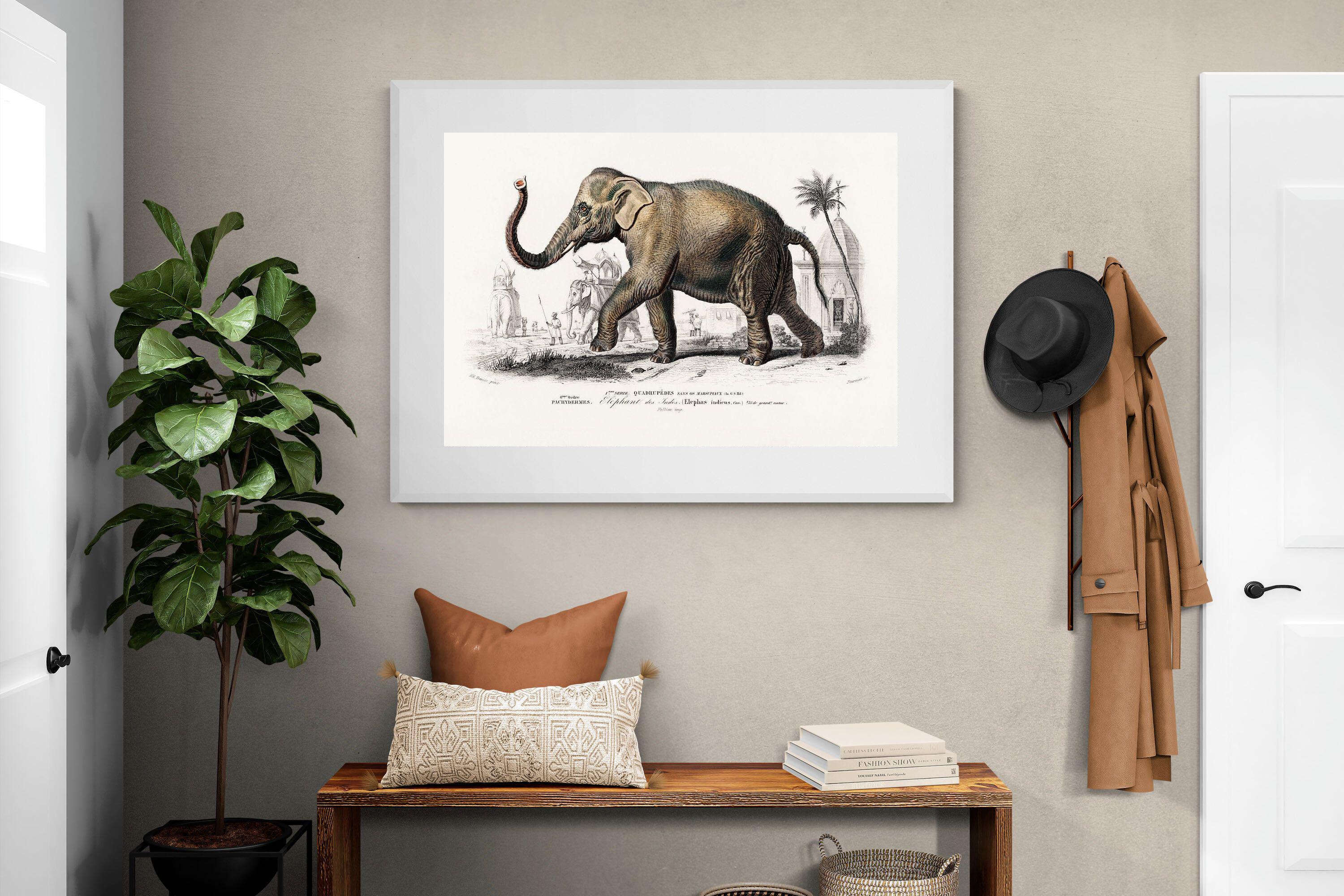 Pixalot Vintage Elephant Illustration