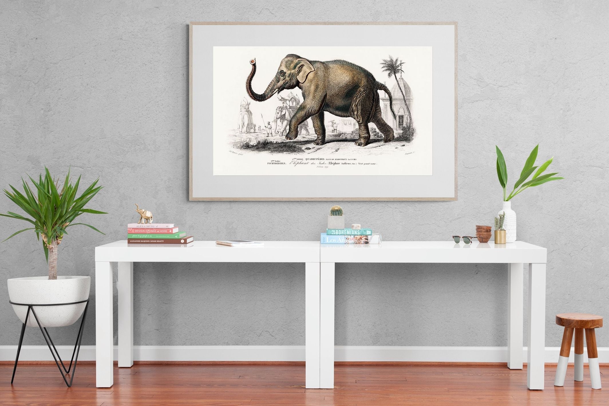 Pixalot Vintage Elephant Illustration