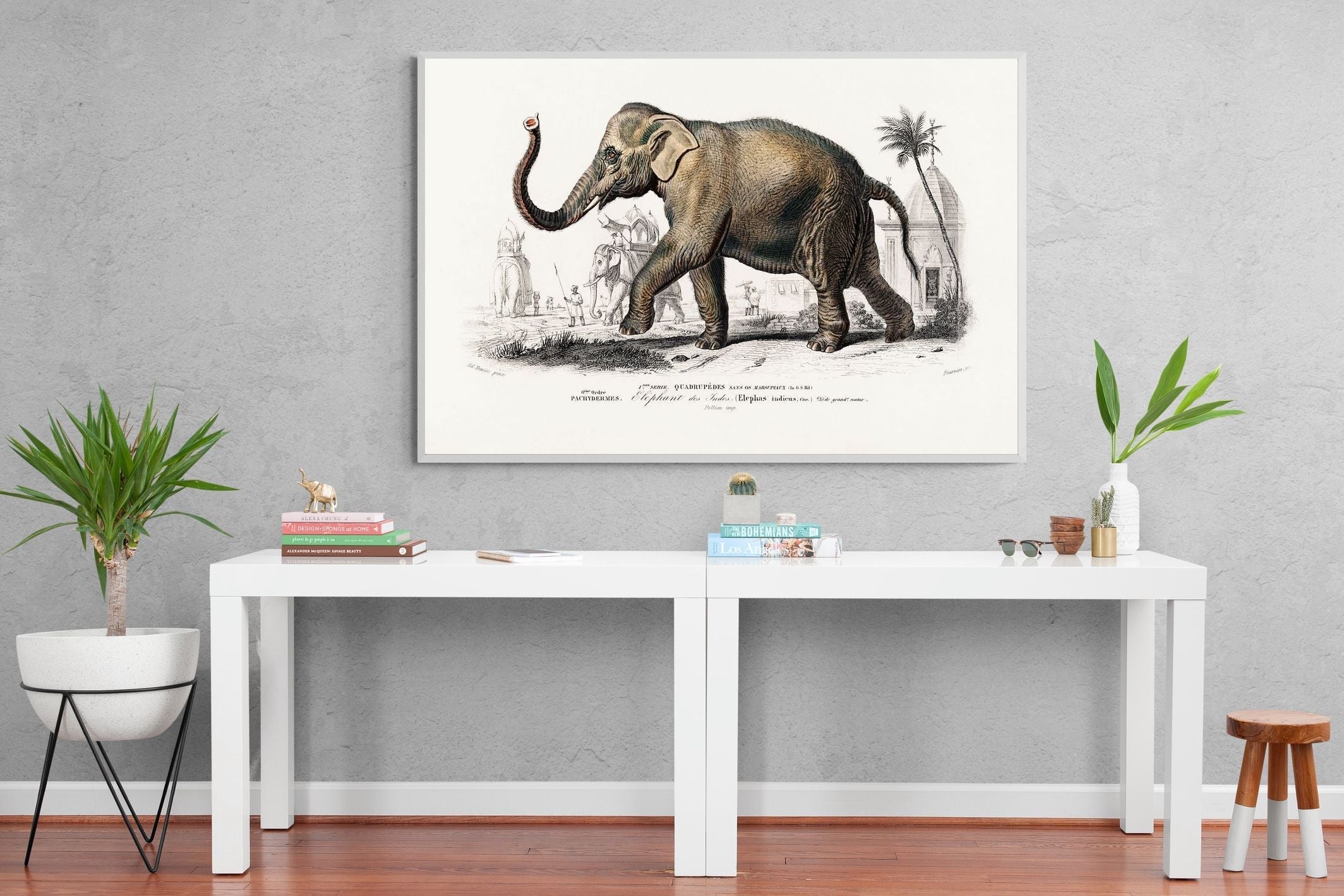 Pixalot Vintage Elephant Illustration