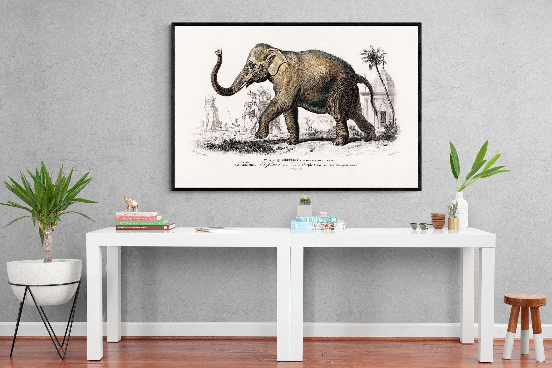 Pixalot Vintage Elephant Illustration