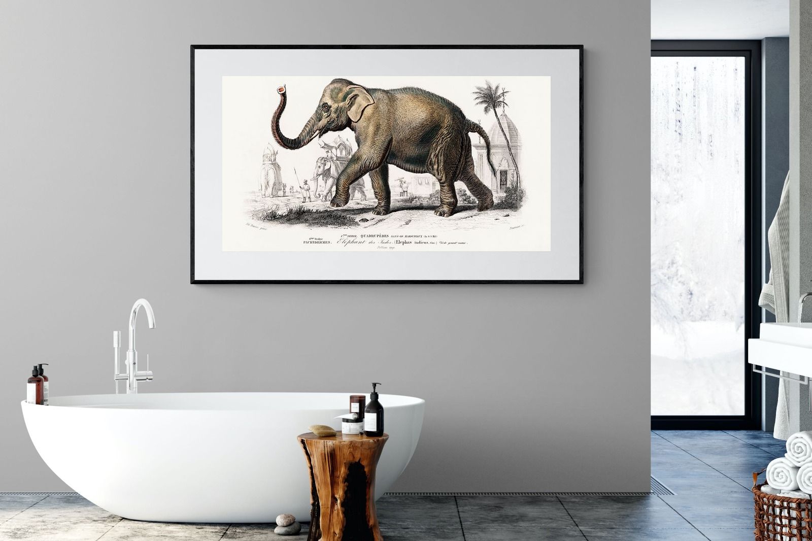 Pixalot Vintage Elephant Illustration