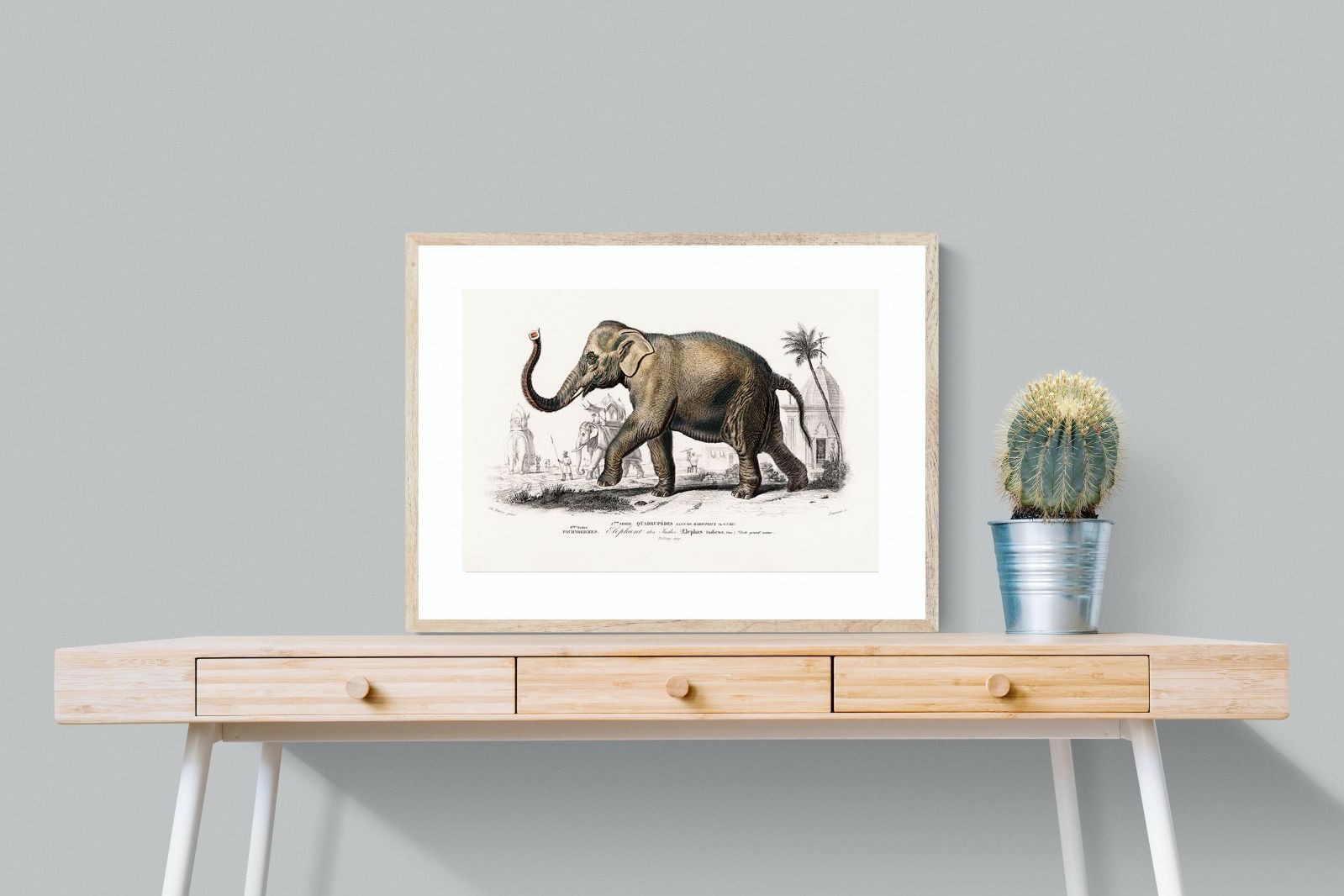 Pixalot Vintage Elephant Illustration