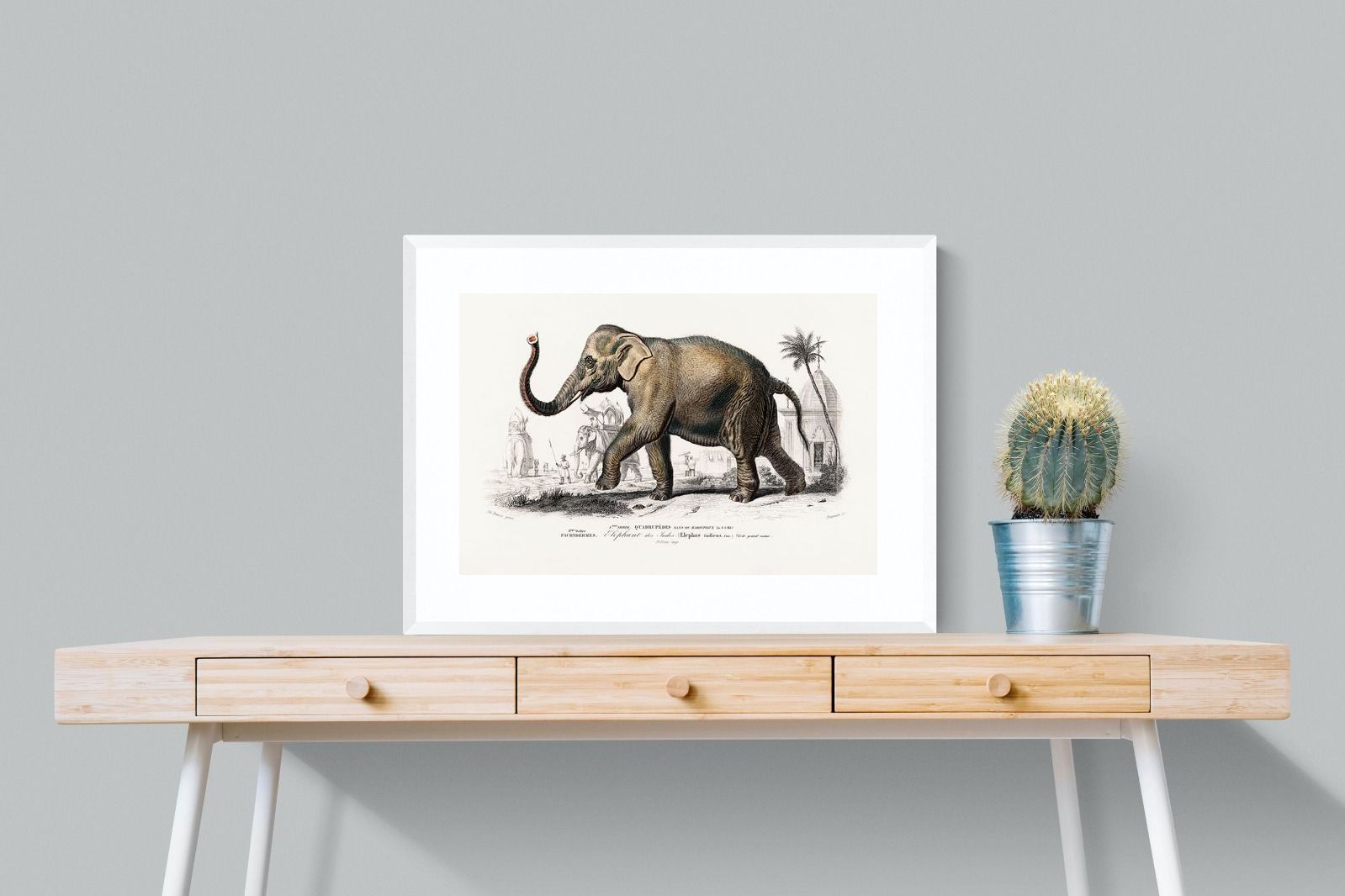 Pixalot Vintage Elephant Illustration