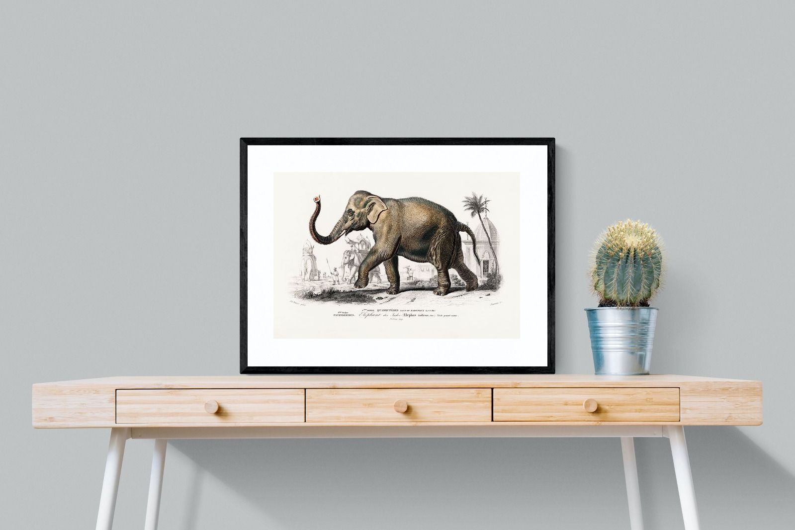 Pixalot Vintage Elephant Illustration