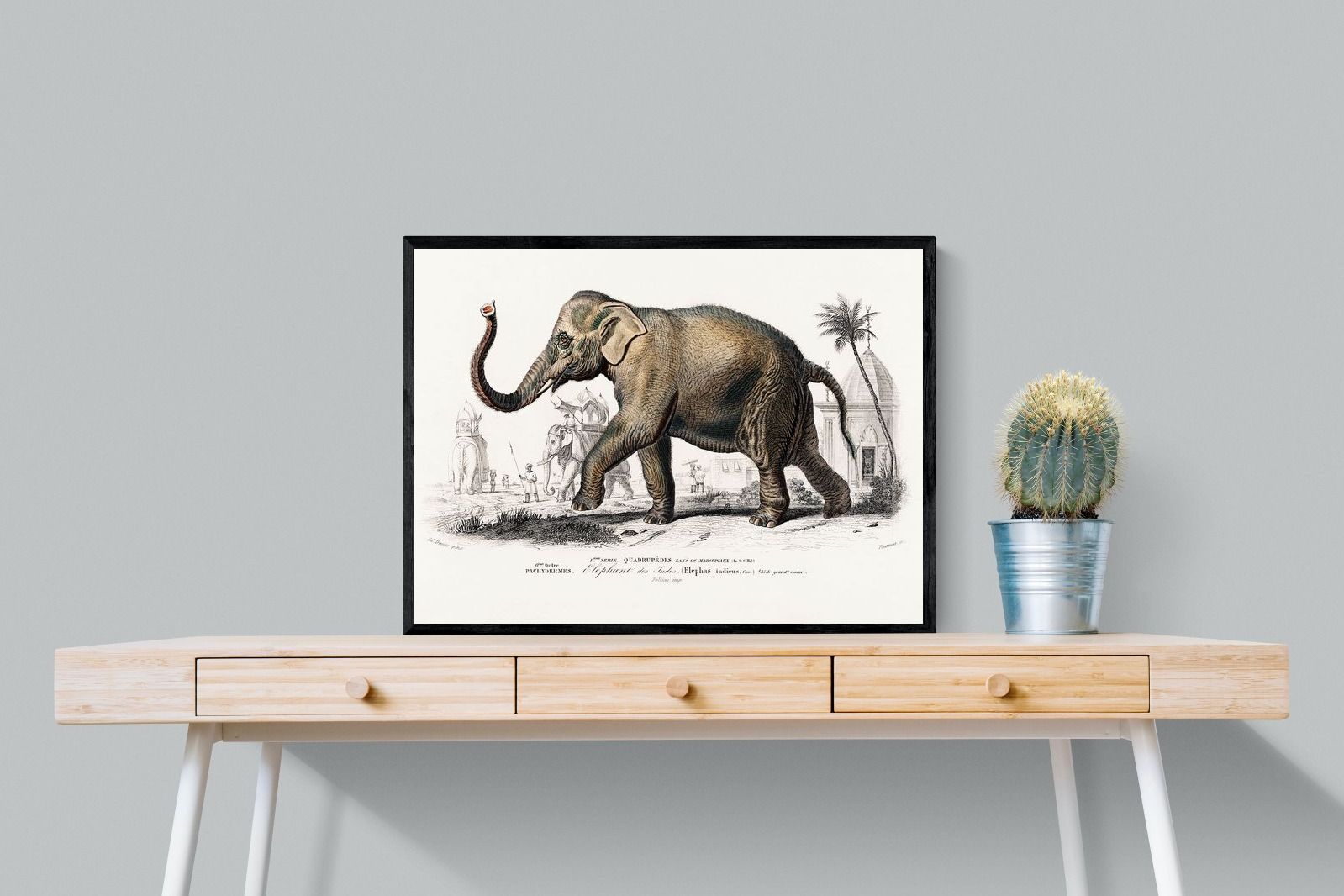 Pixalot Vintage Elephant Illustration