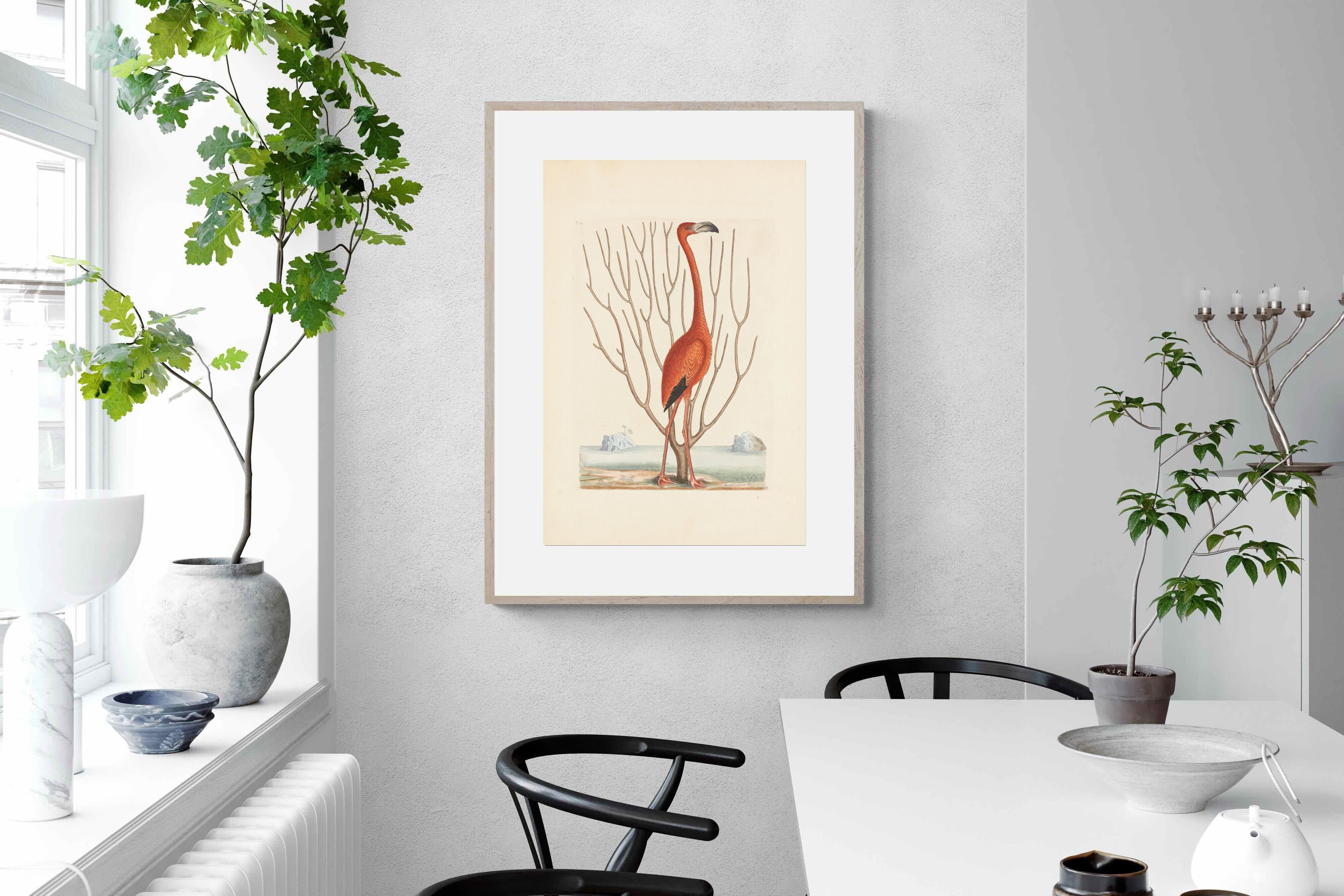 Pixalot Vintage Flamingo