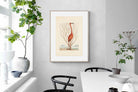 Pixalot Vintage Flamingo