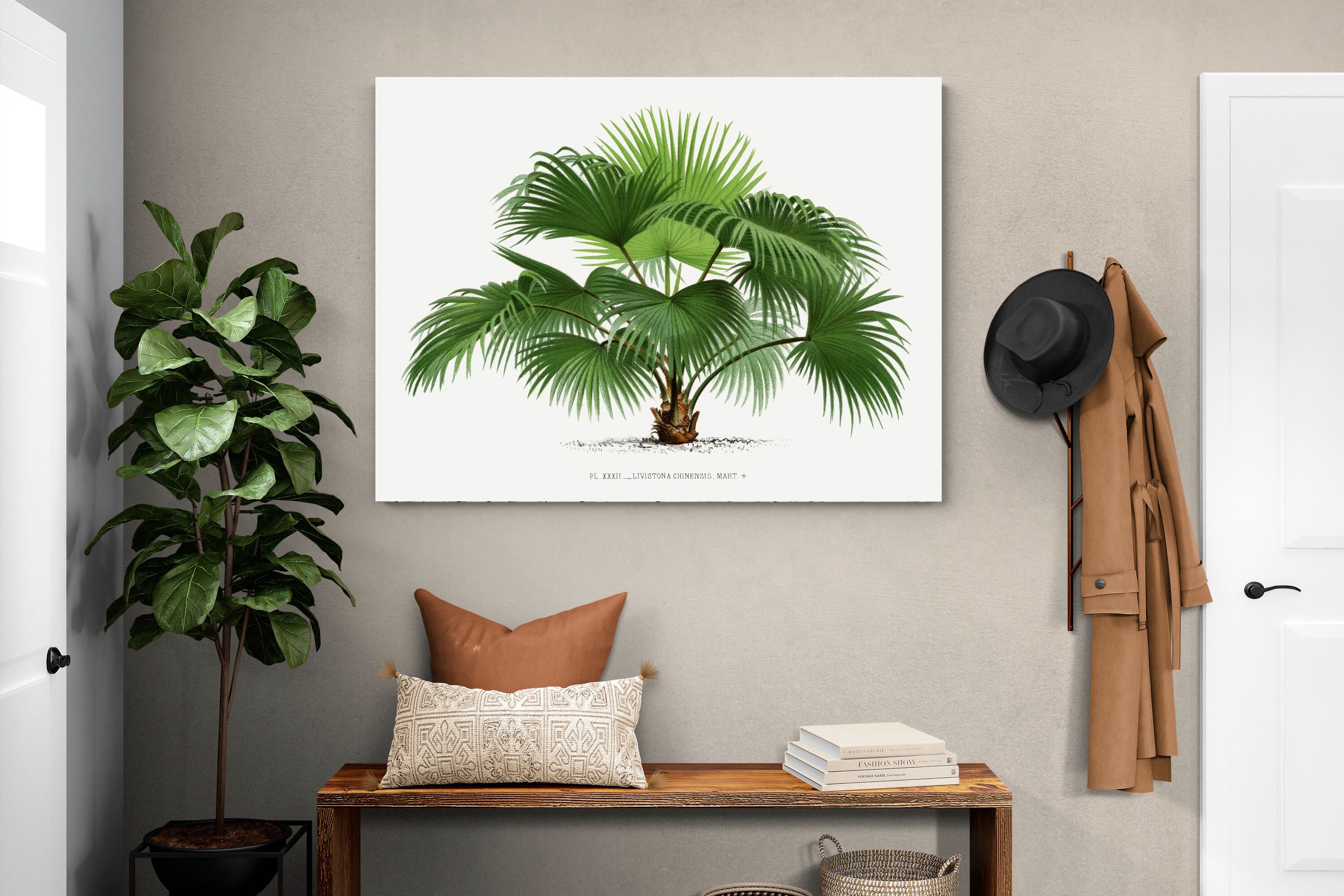 Pixalot Vintage Palm Illustration #1