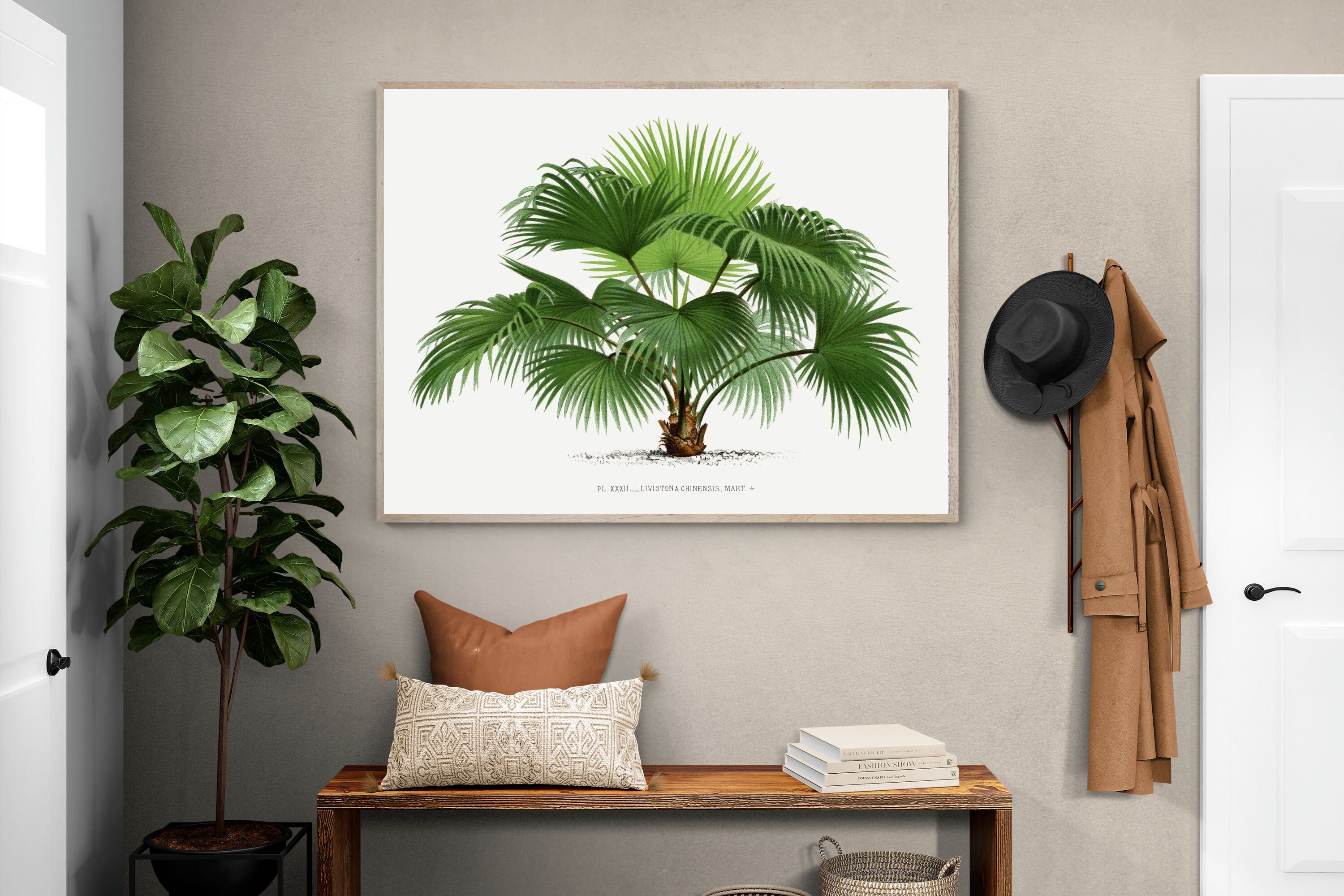 Pixalot Vintage Palm Illustration #1