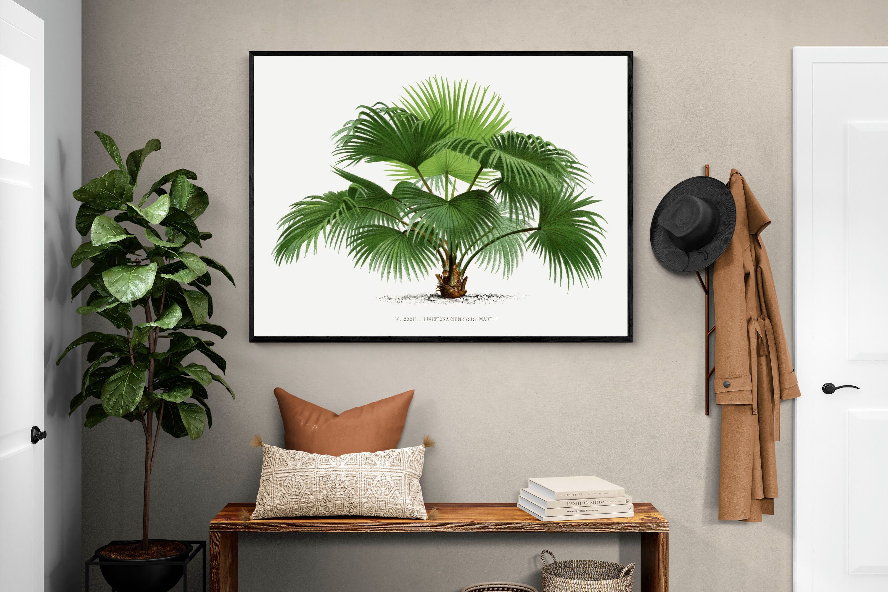 Pixalot Vintage Palm Illustration #1