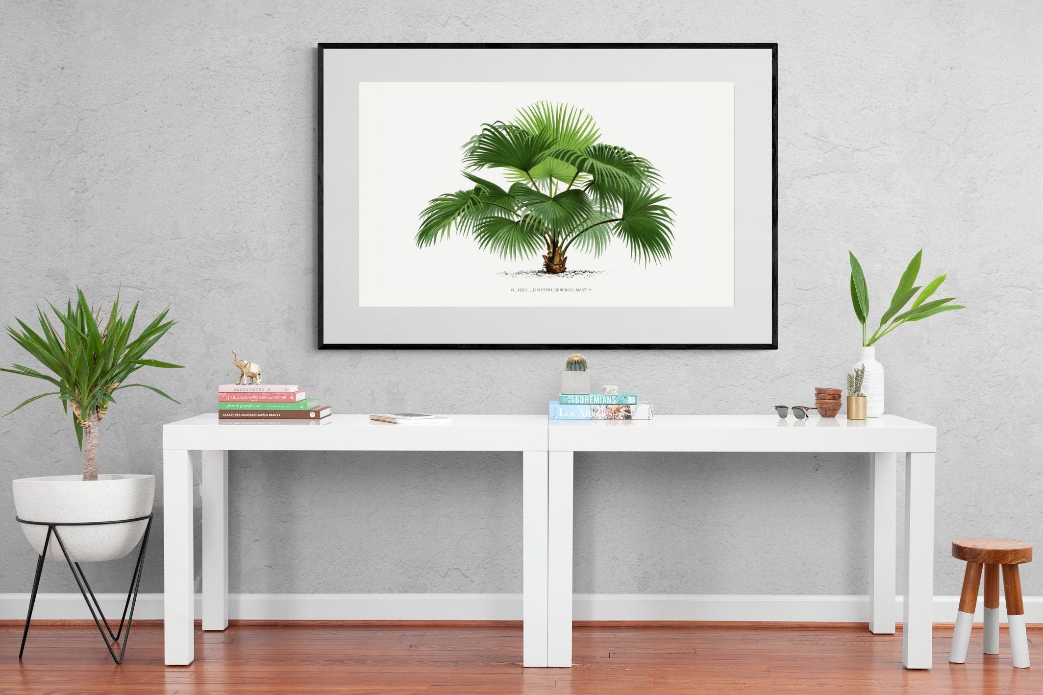 Pixalot Vintage Palm Illustration #1