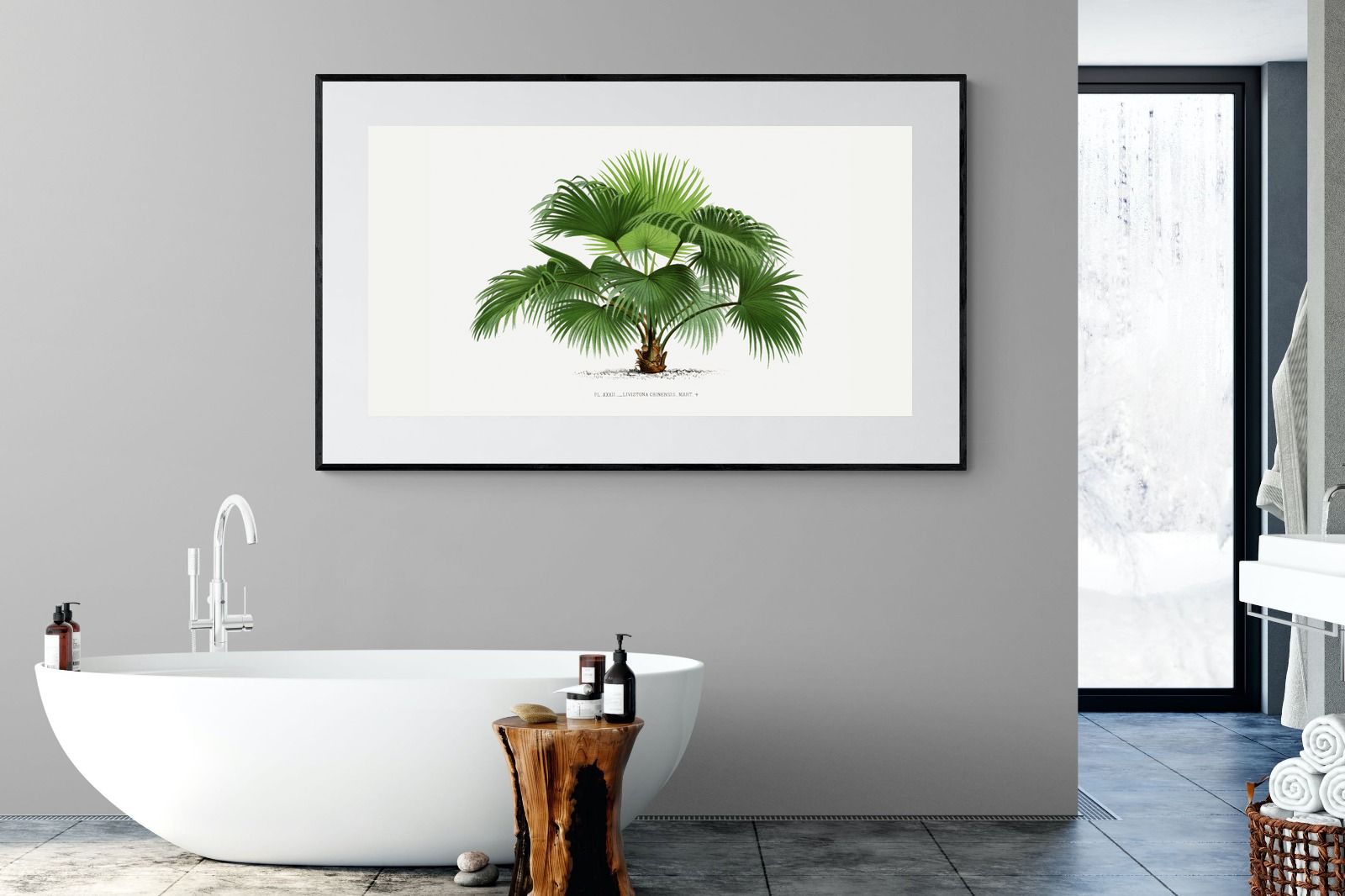 Pixalot Vintage Palm Illustration #1