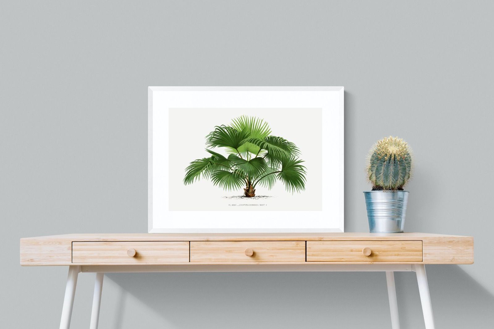 Pixalot Vintage Palm Illustration #1