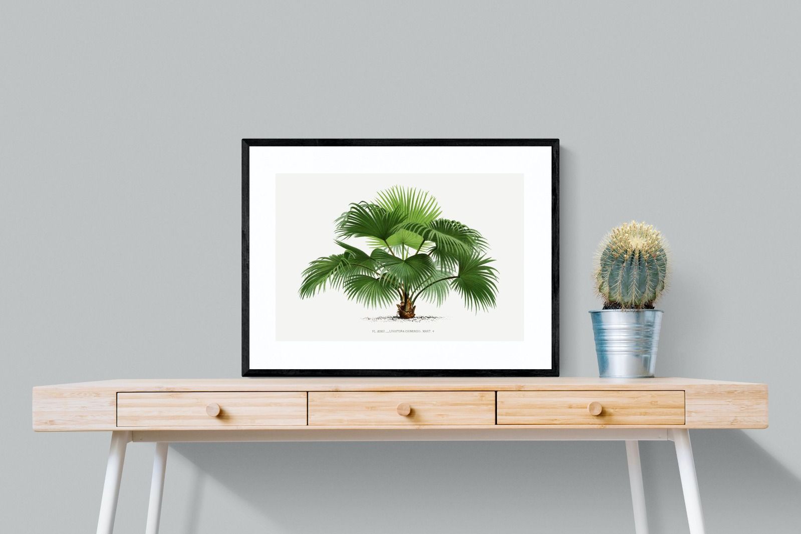 Pixalot Vintage Palm Illustration #1