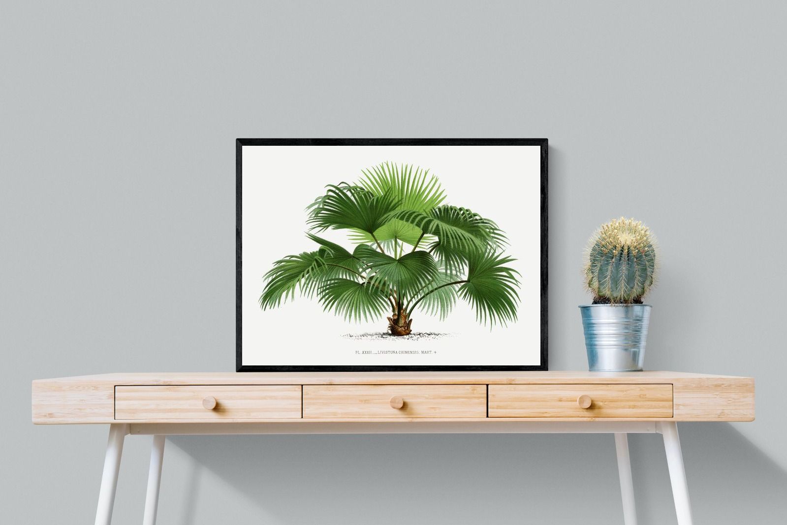 Pixalot Vintage Palm Illustration #1