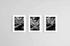 Warrior Princess Set-Wall_Art-45 x 60cm (x3)-Framed Print-White-Pixalot