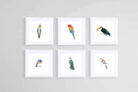 Watercolour Birds Set-Wall_Art-30 x 30cm (x6)-Framed Print-White-Pixalot