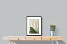 Pixalot White King Protea Closeup