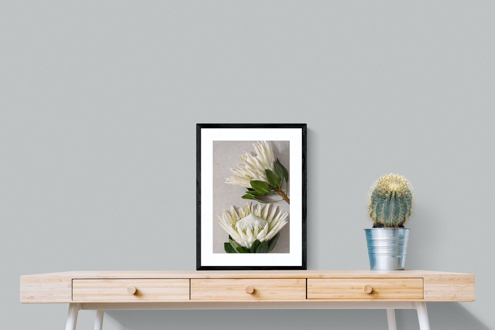 Pixalot White King Protea Duo